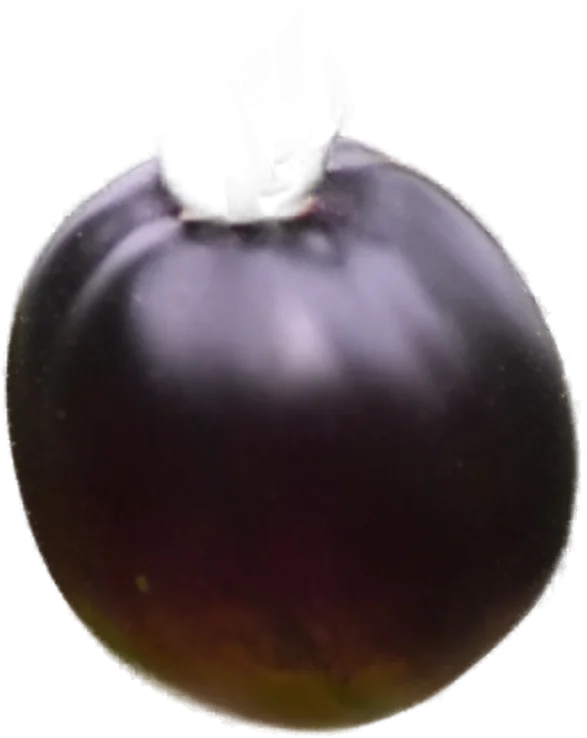 Schwarze Tomate