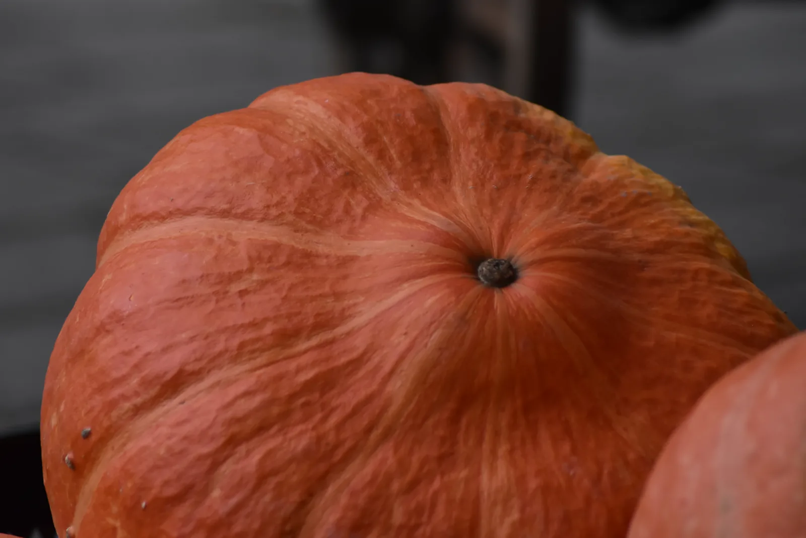 Oranger Kürbis